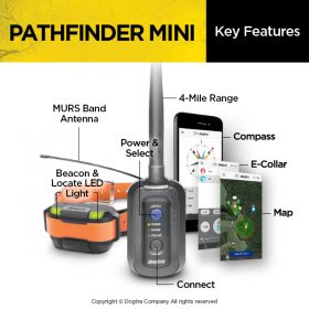 Dogtra Pathfinder MINI GPS nyakörv, elektromos nyakörv szett1