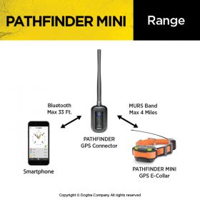 Dogtra Pathfinder MINI GPS nyakörv, elektromos nyakörv szett5