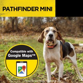 Dogtra Pathfinder MINI GPS nyakörv, elektromos nyakörv szett6