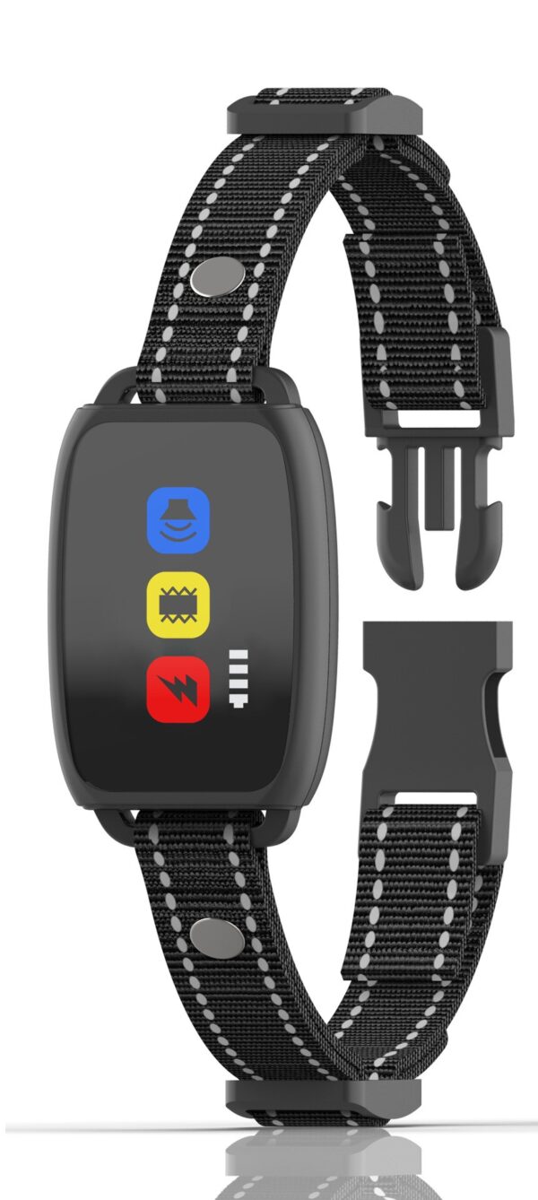 Patpet 760 elektromos nyakörv szett 300m (3)