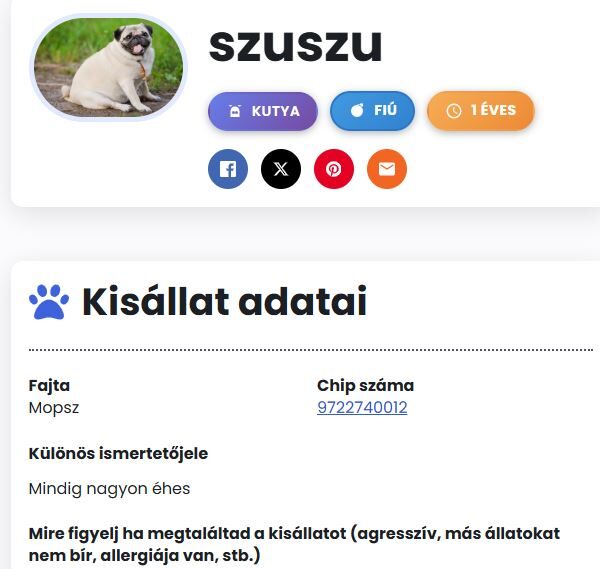 NFC kutya biléta ncf tag