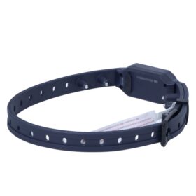 Patpet T223 600m Elektromos nyakörv szett (14)