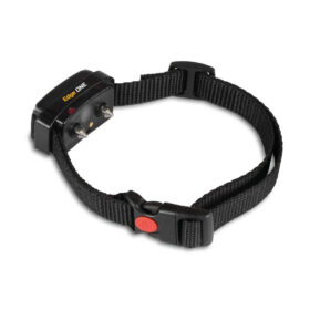 D-control Edge 250R ONE elektromos nyakörv gyűrűs vezérlővel Dogtrace (3)