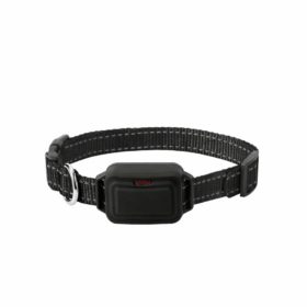 Patpet D12T plusz nyakörv