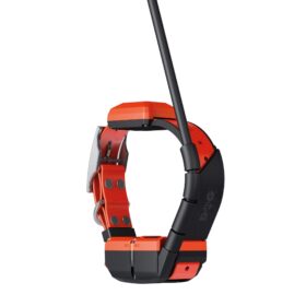 Plusz nyakörv GPS nyakörv DOG GPS X40 Dogtrace (2)