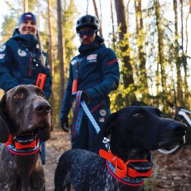 Plusz nyakörv GPS nyakörv DOG GPS X40 Dogtrace (4)