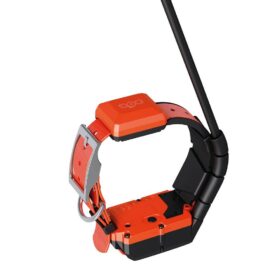 Plusz nyakörv GPS nyakörv DOG GPS X40 Dogtrace (5)