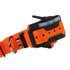 Plusz nyakörv GPS nyakörv DOG GPS X40 Dogtrace (9)