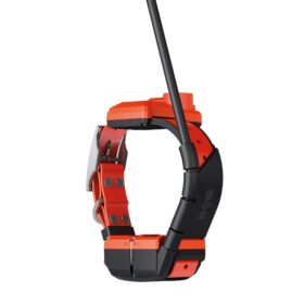 Plusz nyakörv GPS nyakörv DOG GPS X40B -Dogtrace (211)