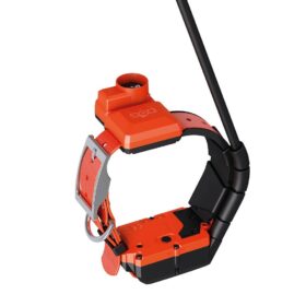 Plusz nyakörv GPS nyakörv DOG GPS X40B Dogtrace (4)