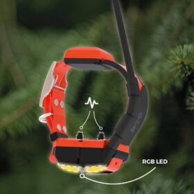Plusz nyakörv GPS nyakörv DOG GPS X40T Dogtrace (1)