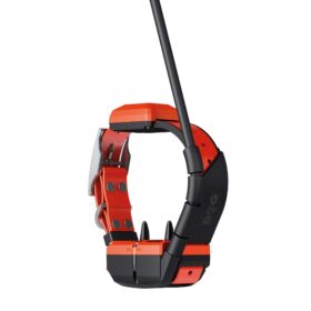 Plusz nyakörv GPS nyakörv DOG GPS X40T Dogtrace (2)